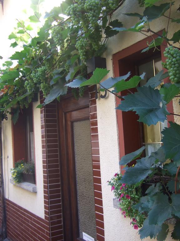 Kleines Winzerhauschen Villa เบรมม์ ภายนอก รูปภาพ