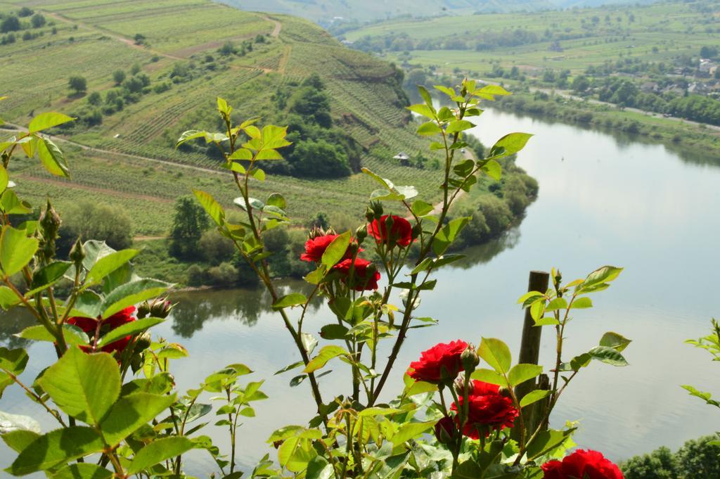 Kleines Winzerhauschen Villa เบรมม์ ภายนอก รูปภาพ